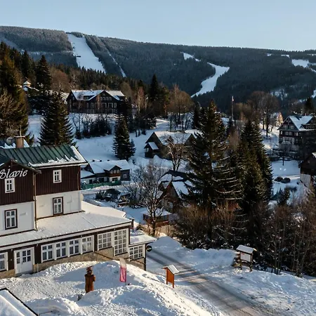 Hotel Slavie 4*