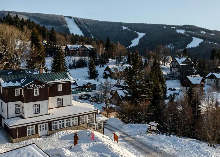 Hotel Slavie 4*