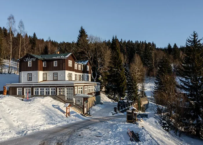 Hotel Slavie 4*
