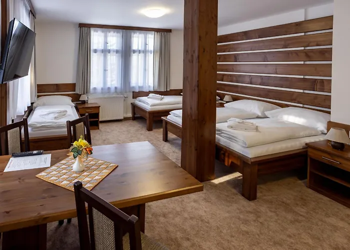 Hotel Slavie 4*